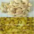 Dried ginger( whole/ slice )